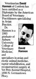 Dr. Hannon News